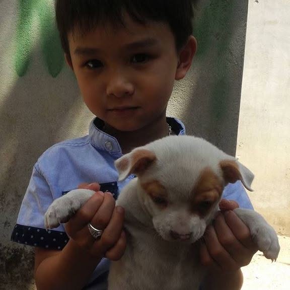 Ảnh đính kèm 2